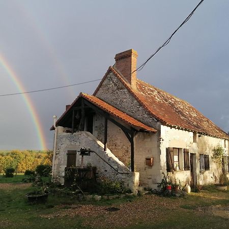Gite 4 Pers, Jacuzzi, Piscine, Proche Futuroscope, Calme Et Nature A La Roche Posay Ла Рош-Позе Екстериор снимка