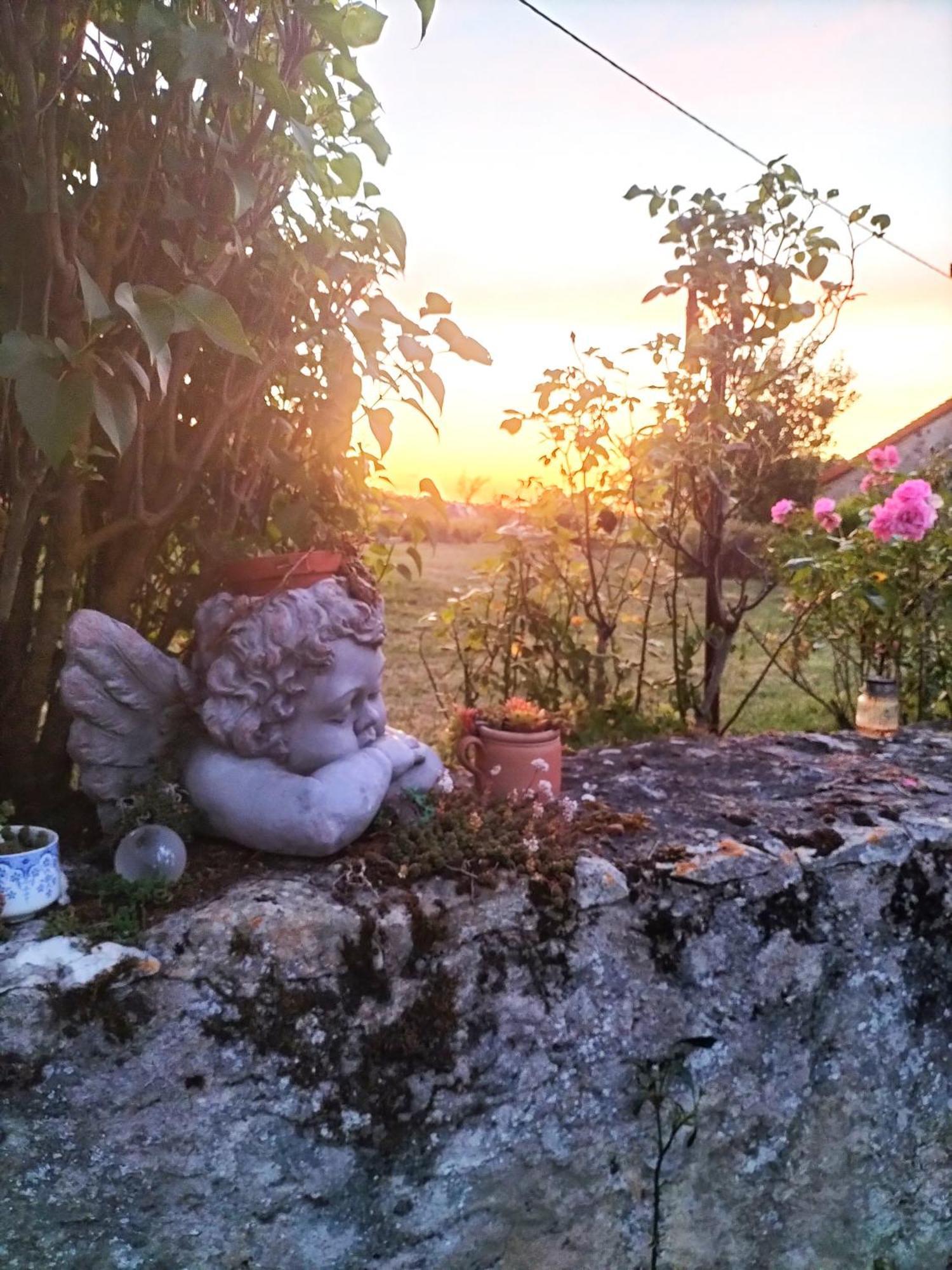 Charmante Maison, Calme Et Nature A La Roche Posay Villa Екстериор снимка