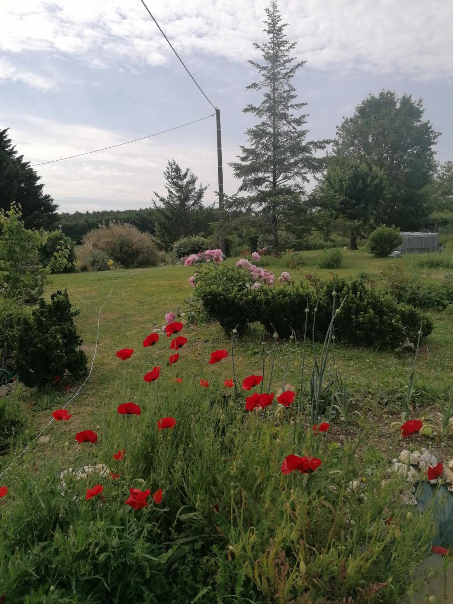 Charmante Maison, Calme Et Nature A La Roche Posay Villa Екстериор снимка