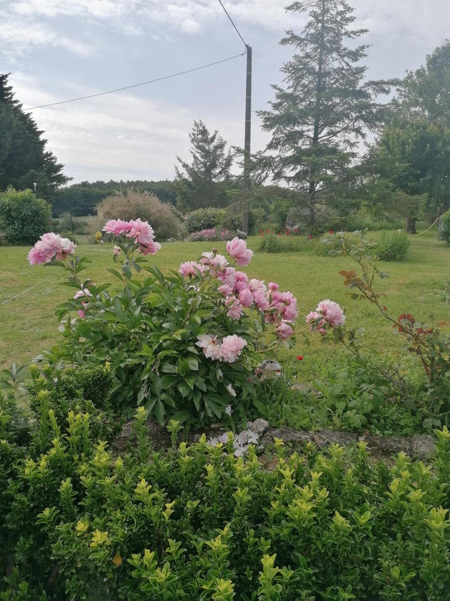 Charmante Maison, Calme Et Nature A La Roche Posay Villa Екстериор снимка